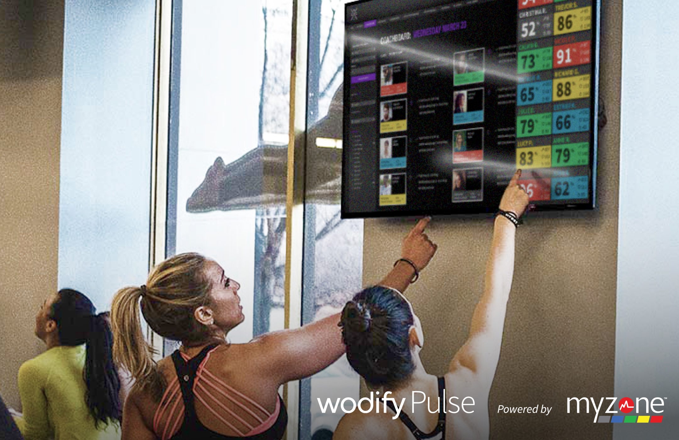 wodify heart rate monitor